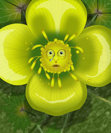 vignette buttercup face