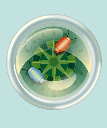 vignette compass desktop